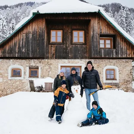 Obiralmhuette Mosgan Chalet Bad Eisenkappel