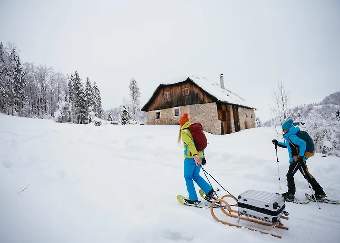Obiralmhuette Mosgan Alpstuga Bad Eisenkappel